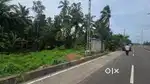 Good plot for Shop
