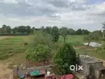 Pani wali jameen,21 biga, house