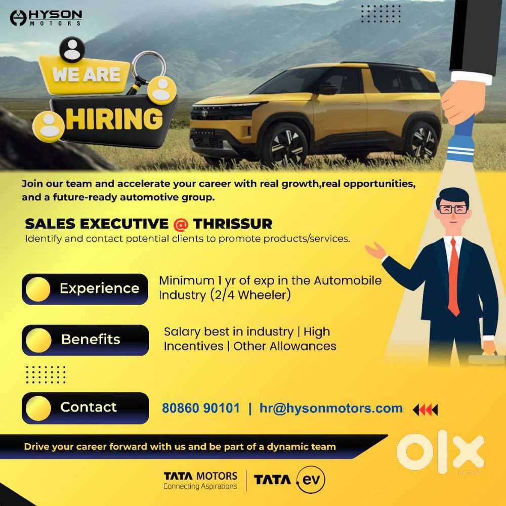 Sales Executive