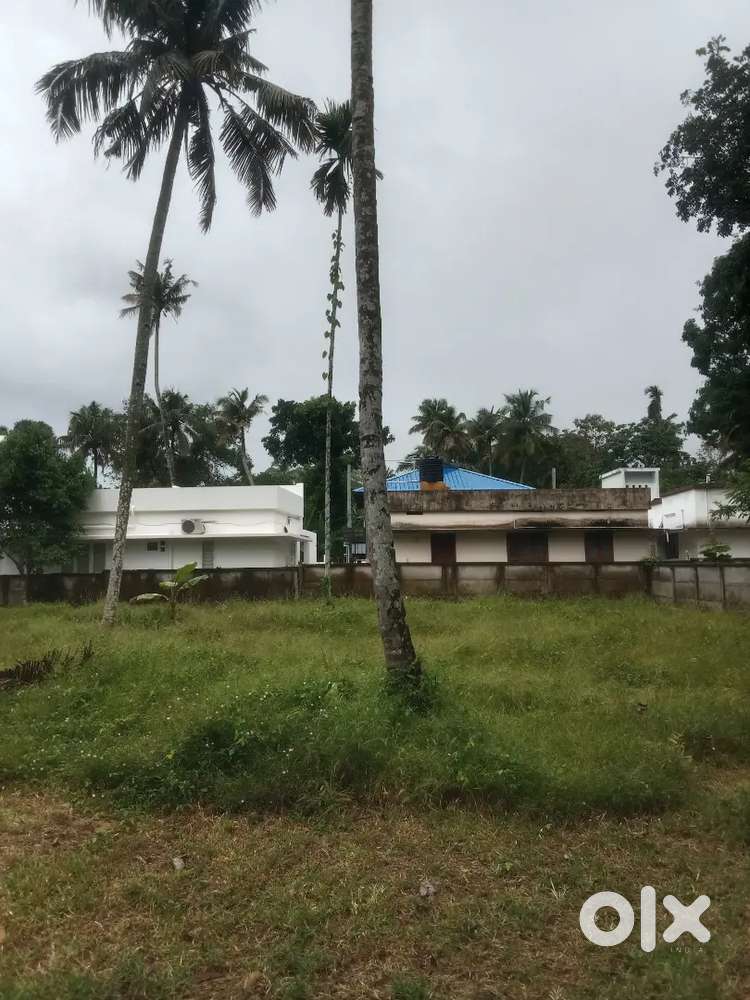 പറയത്ത് മുക്ക്, തട്ടാമല കൂട്ടിക്കട റോഡ് കൊല്ലം. 6 സെന്റ്