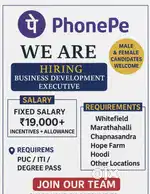 Business development executive