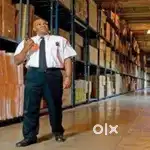Godown warehouse security guard job