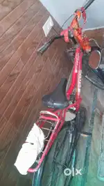 Cycle bechni hai