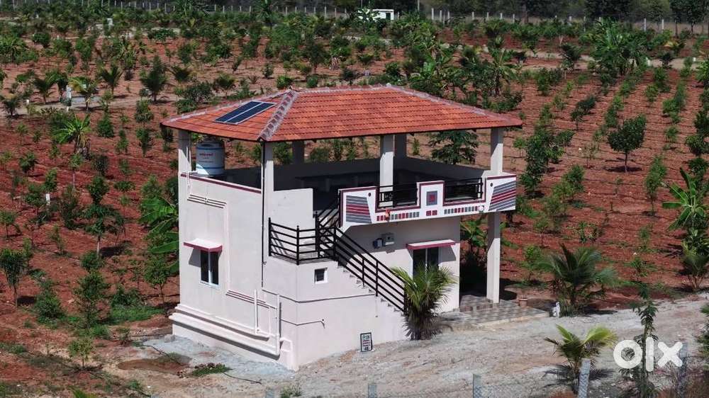 Hassle-Free Farmland Ownership with Zero Maintenance