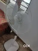 Pedestal fan white colour Orient