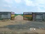 Organic Farm land