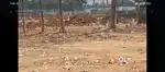 Open plots for sale