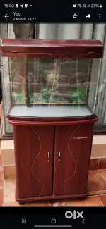 Aquarium with cabinet