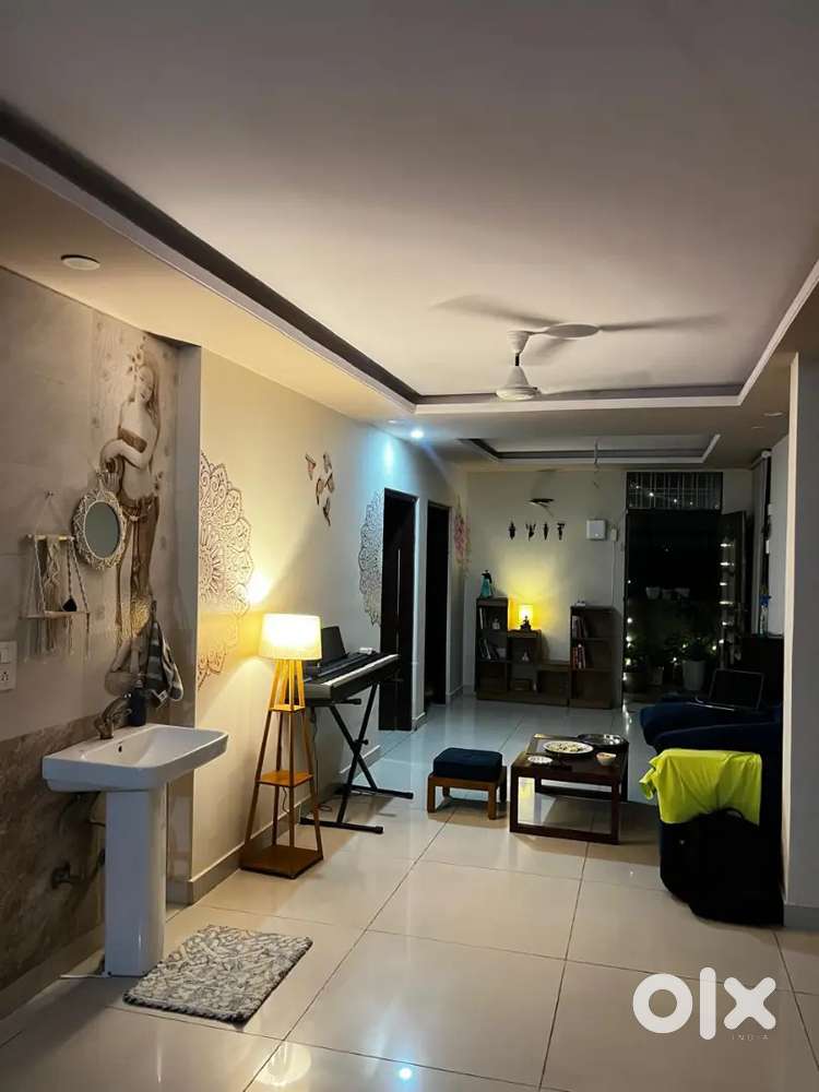 Looking for working flatmate