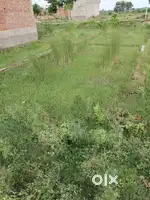 100 gaz plot