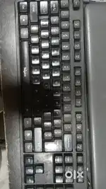 Typist required