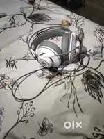 2 month old new conditions headphone with all type connector