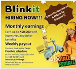 BLINKIT DELEVERY