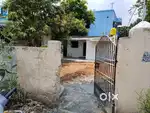 Patta land. Mannivakkam. kk Nagar on the road