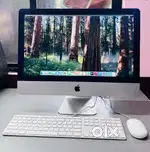 APPLE iMAC ALL IN ONE CORE i5 / 8 GB RAM 512GB SSD