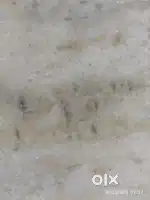 મકાન વેચવાનું છે.