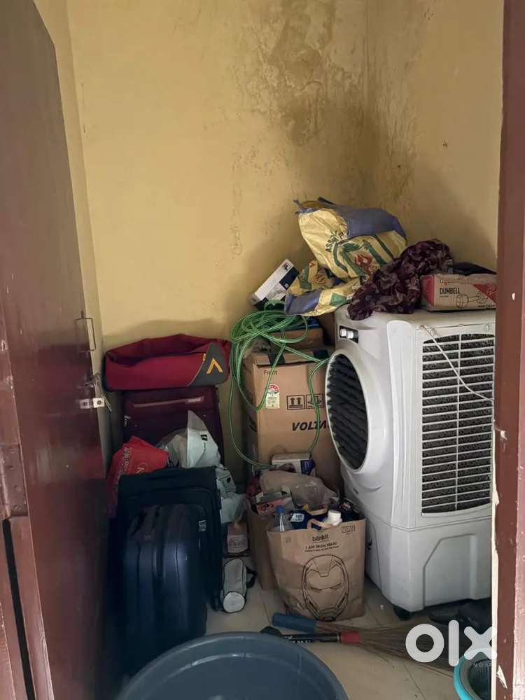 Need a girl room mate