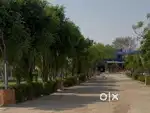 Plot in vrindavan