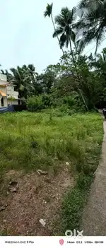 5cent plot ROAD