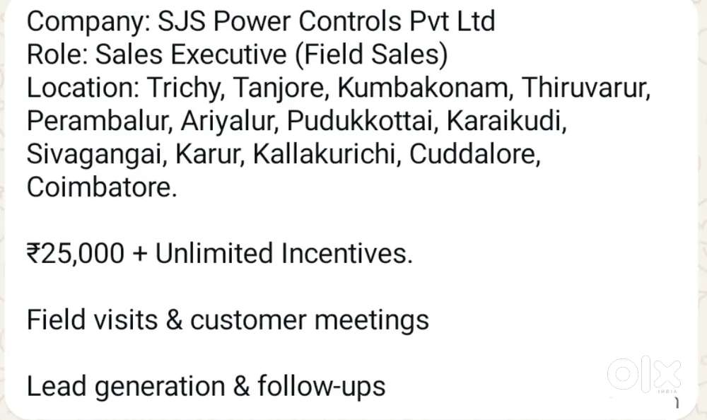 Business Development Executive