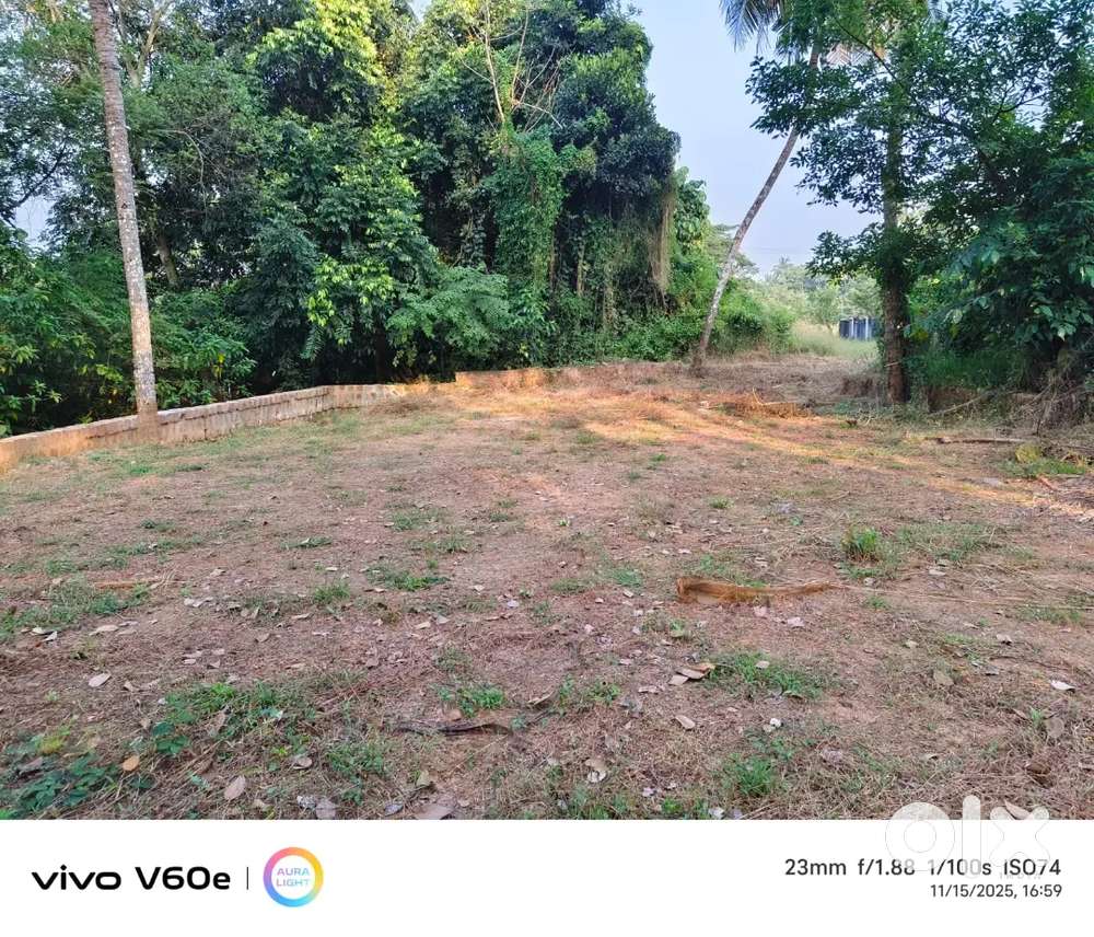10 cents land for sale in chitpady