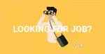 Looking a job computer field
