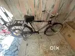 AVON CYCLE