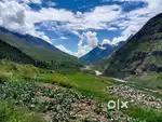 Land for rent