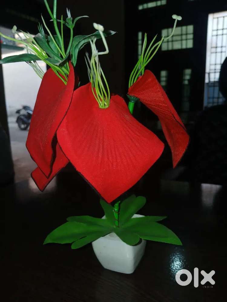 Hiring,  Profesional & Experienced persons for Company