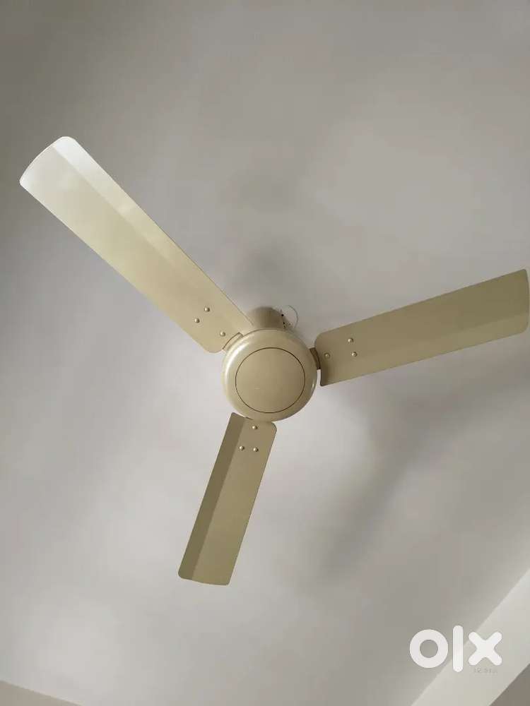 V guard ceiling fan