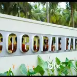 அழகிய சூழலில் மிகக் குறைந்த விலையில் தென்னைதோப்பு விற்பனைக்கு