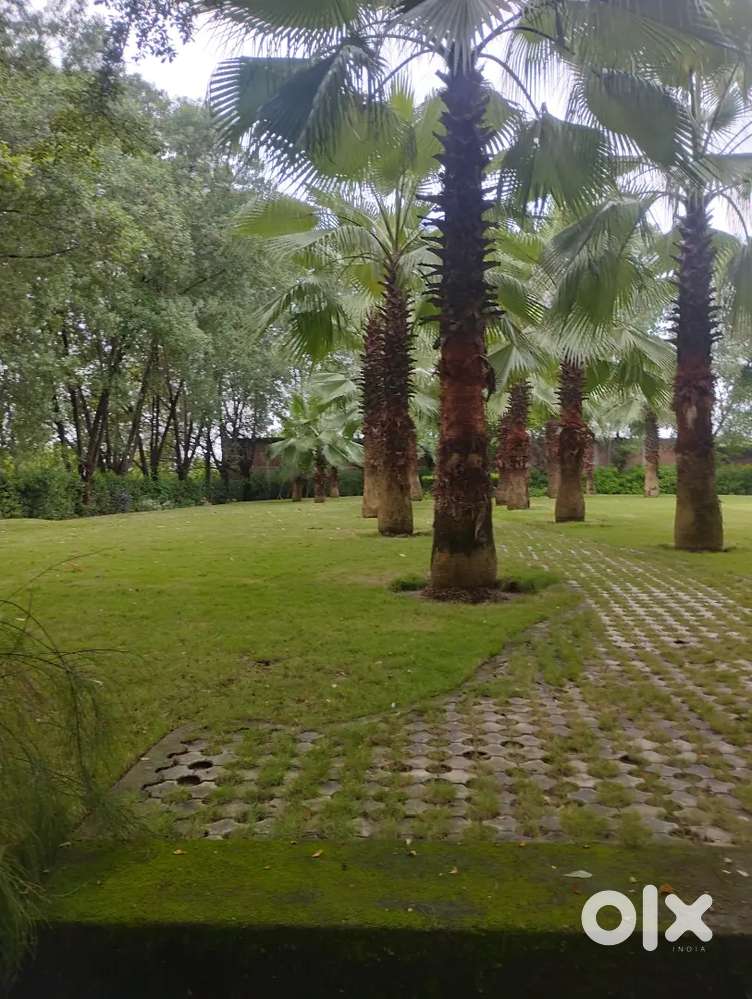 भाटागाँव में सुविधा युक्त आवासीय प्लाट।