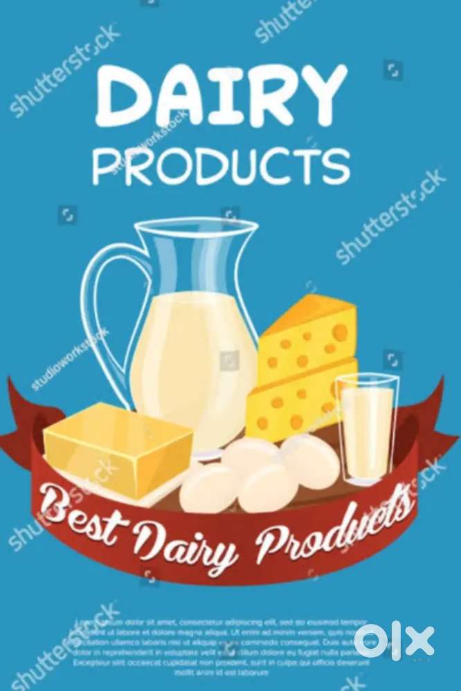 Business development executive sales intern