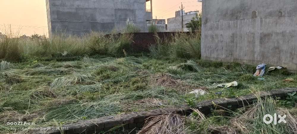 यह प्लॉट पादरी बाजार पप्पू कटरा पेट्रोल पंप से मात्र 700 मीटर अंदर हैं