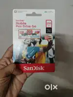 Pendrive SanDisk 256gb with c pin