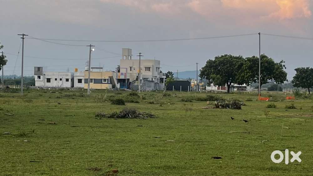 6457 Sqft DTCP App Corner Plot at Orathur Indira Nagar Phase II