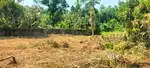 55.5 cent plot ₹300000 per cent