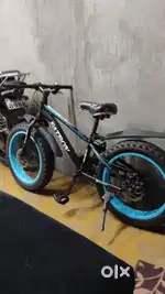 Best cycle