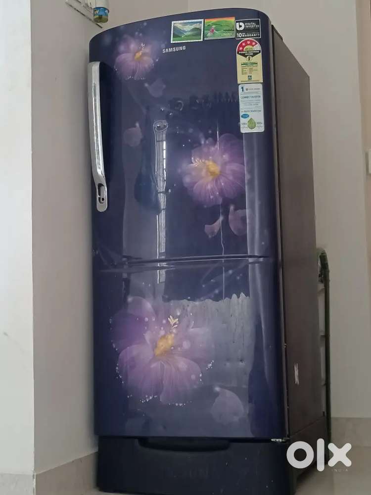 Samsung fridge single door