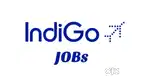 AIRPORT LARGEST JOBS VACANCY GROUND STAFF TICKET CHECKER OR DRIVERS