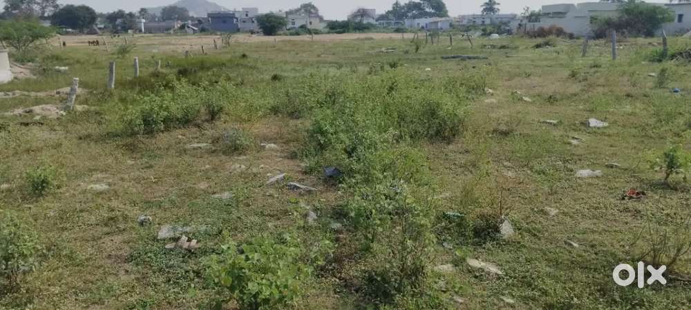 Land plot  for sale