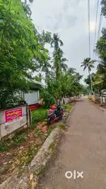 Road side 8 Cent plot and 2 Shutters shop for Sale