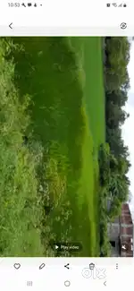 Road Side Plot for Sale in Debendrapur , near Bistunpur , Balasore