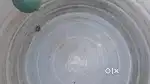 Water tank cleaning