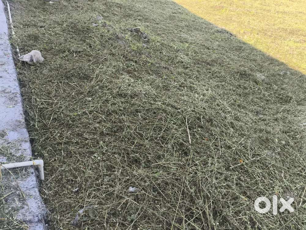 206 sq yard plot for sale in aambaagh rishikesh