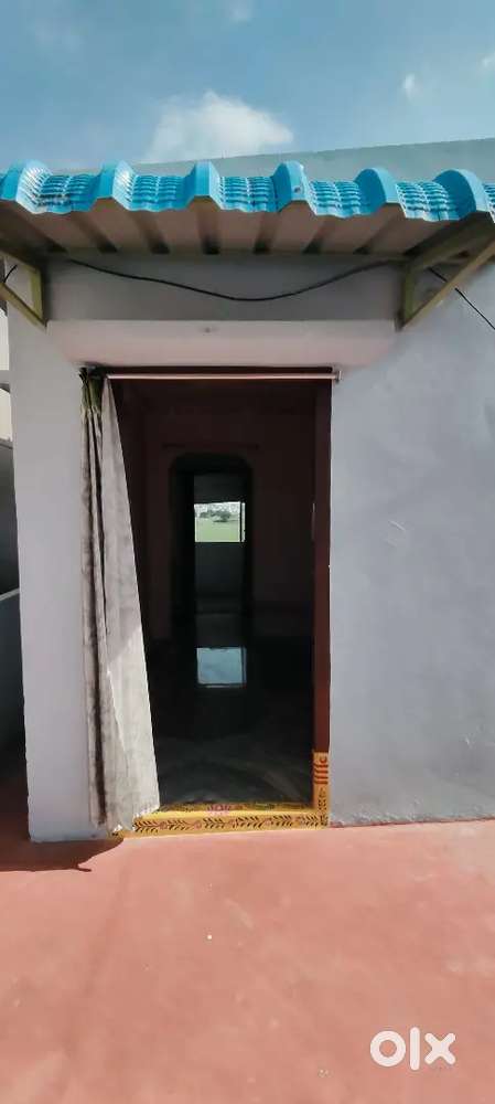 Pedda puli paka side katta meda sree nagar colony 8th line