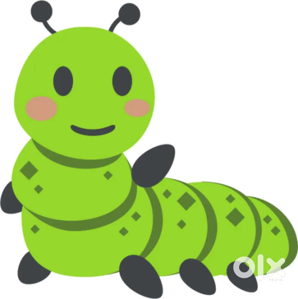 Kindergarten teacher(Female)
