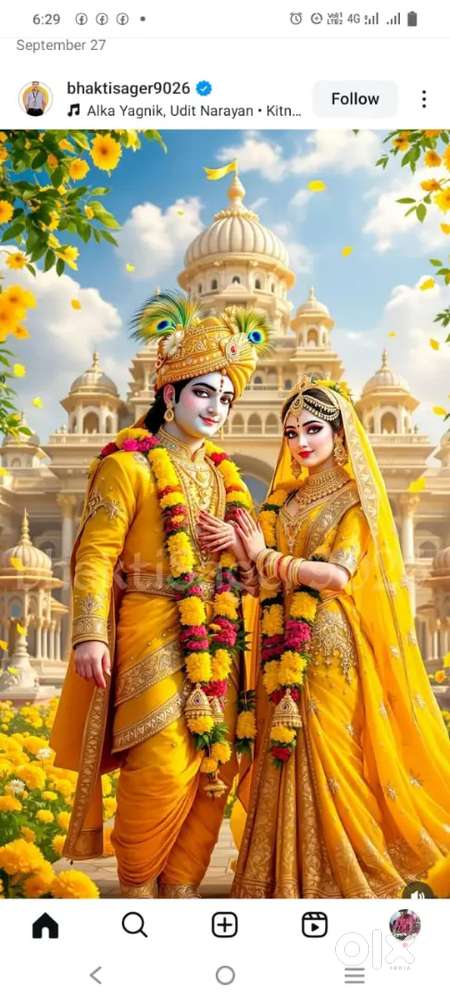 As a data entry , computer operator