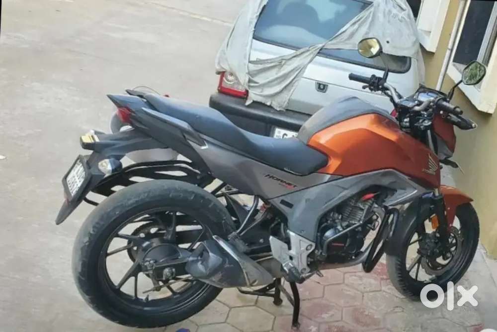 Honda hornet