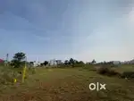 Plot for sale at low price